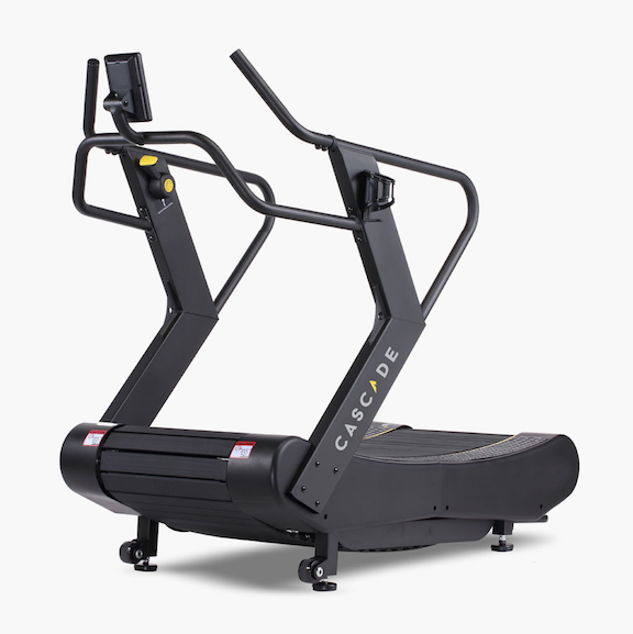 Exercise Equipment Sales