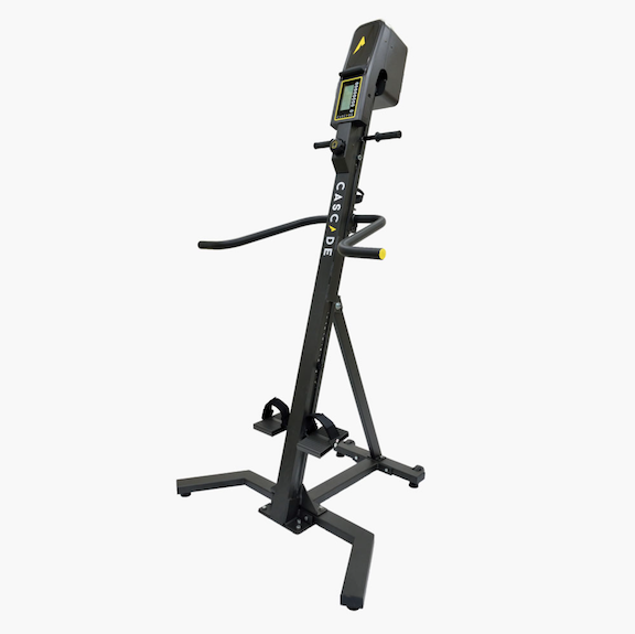 Exercise Equipment Sales