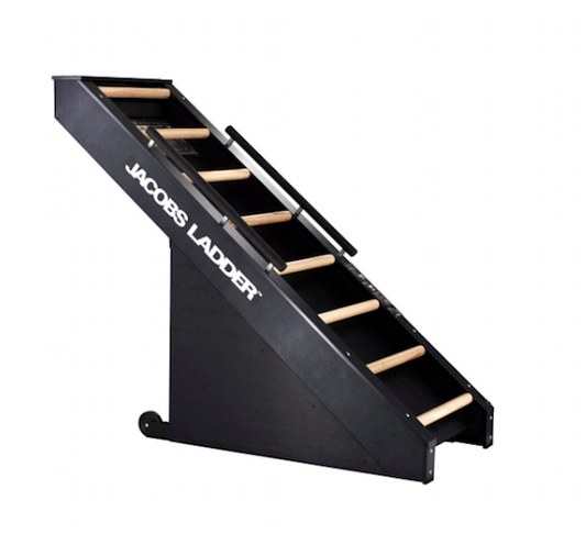 StairMaster Jacobs Ladder